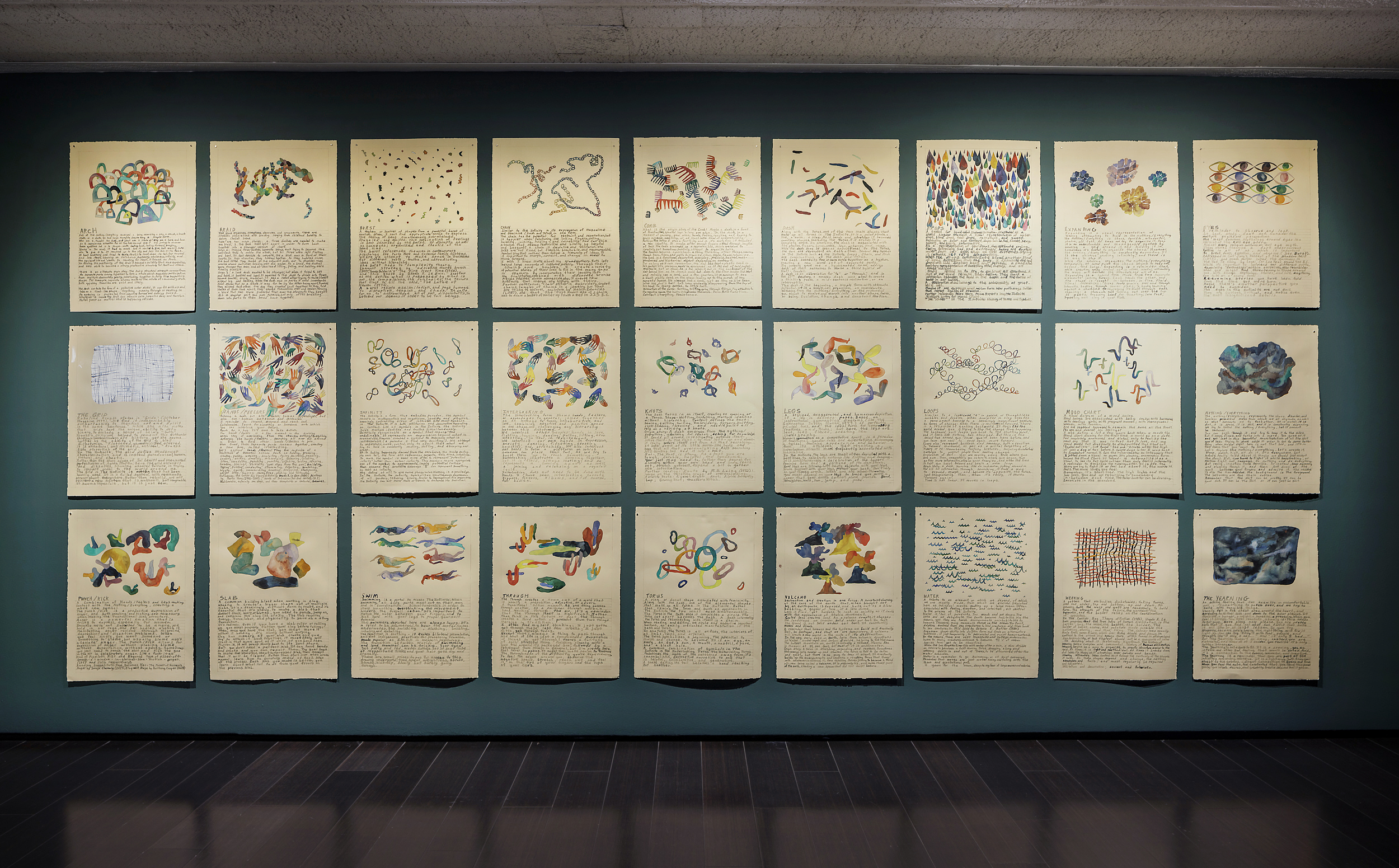 Photograph of watercolor drawings installed in a grid pattern